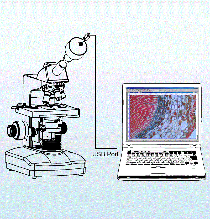 Видеоокуляр установлен на монокулярный микроскоп.jpg
