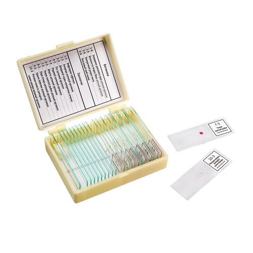 Набор препаратов «Ботаника и зоология» (14 обр.)