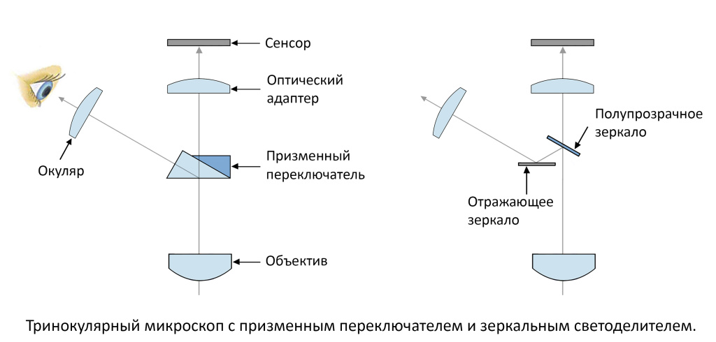 3-Тринокуляры_Схема.jpg