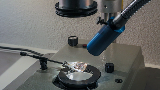 Оптоволоконный осветитель на современном микроскопе
