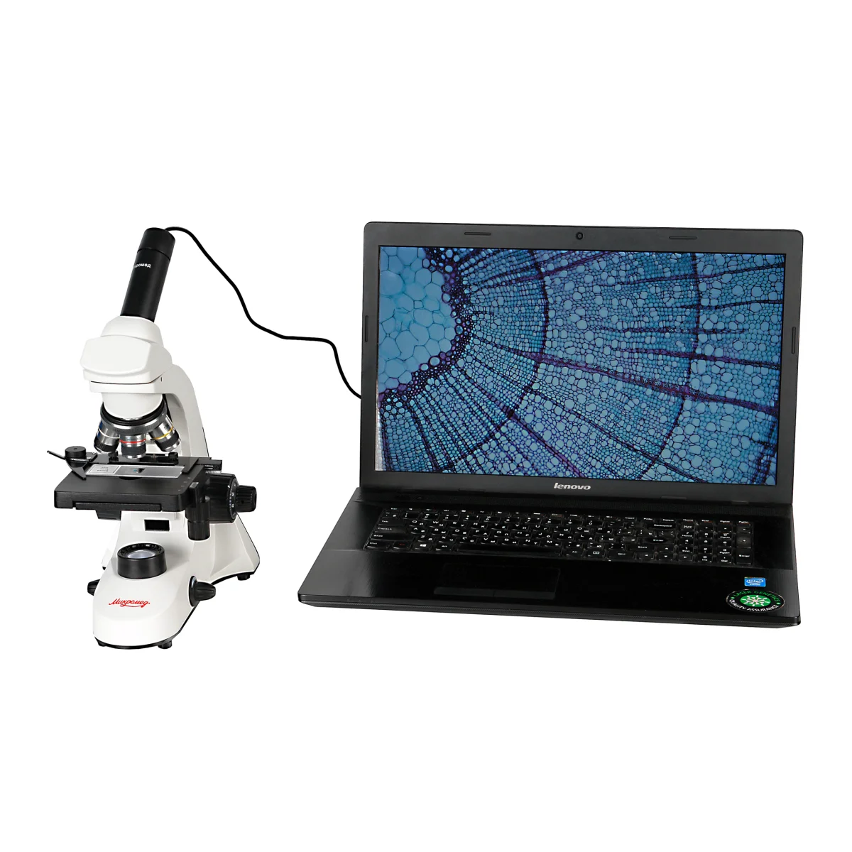 Микроскоп в работе