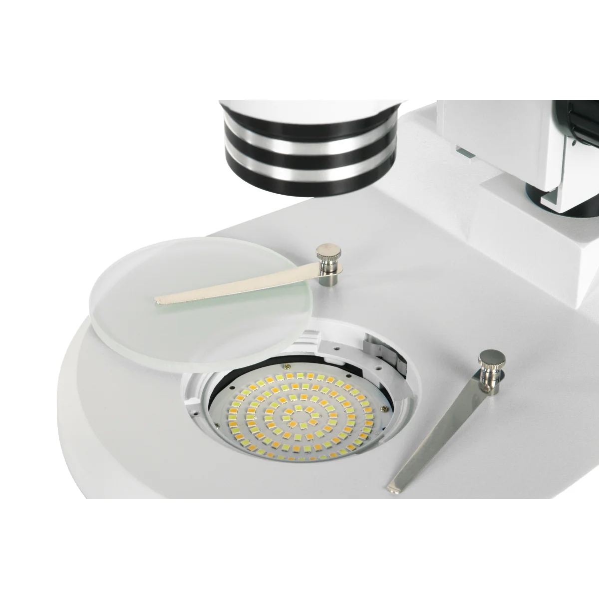 Светодиодный биколорный осветитель проходящего света.